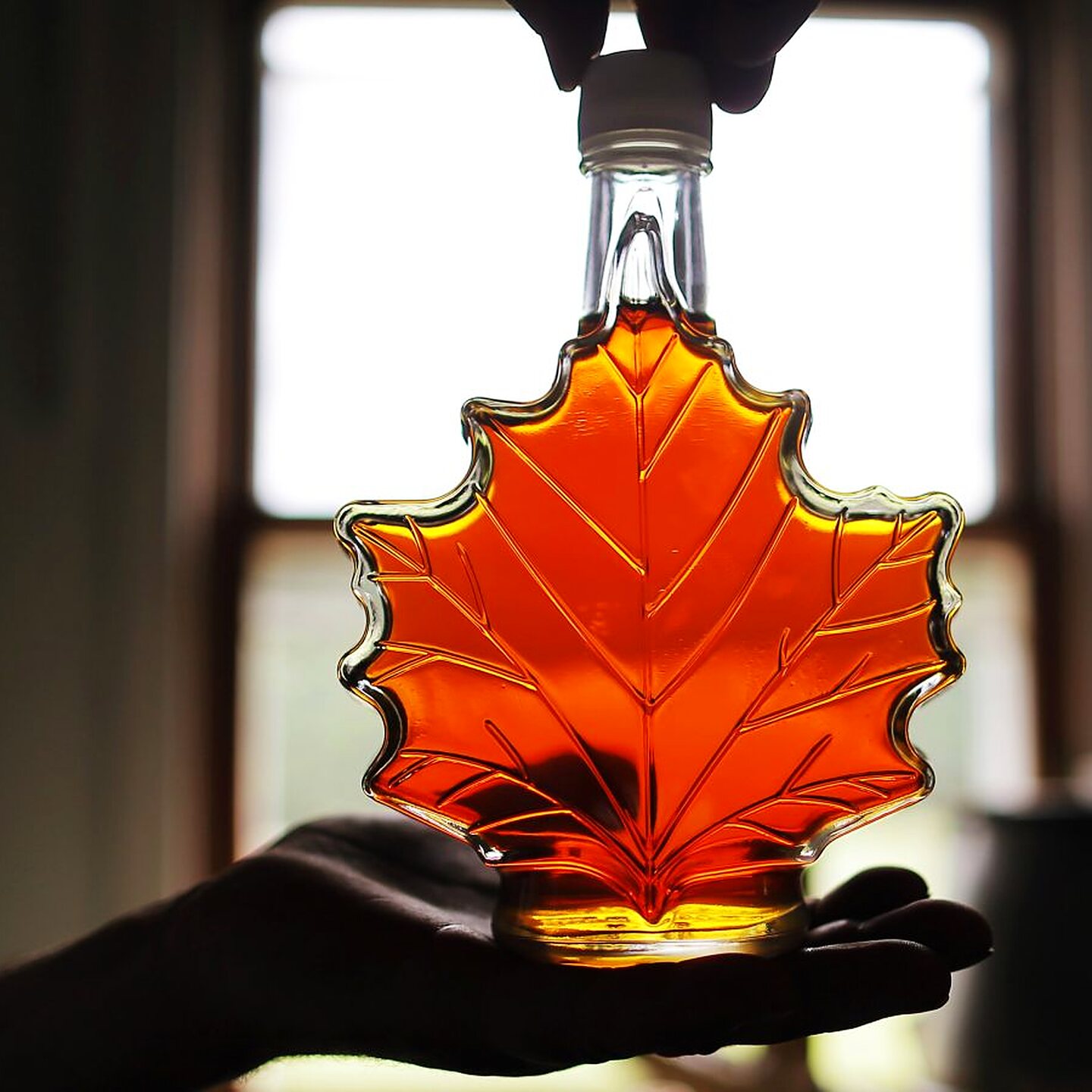 A maple-leaf bottle of maple syrup held up to the window light